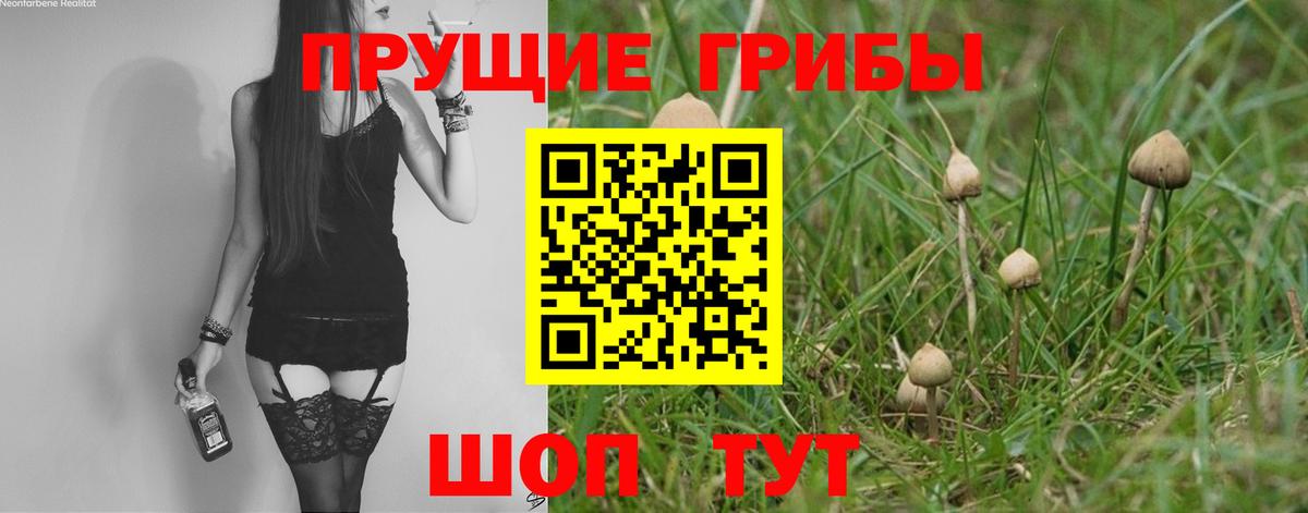 Псилоцибиновые грибы мухоморы  Псилоцибиновые грибы прущие грибы  Рыбинск  Вход с VPN 